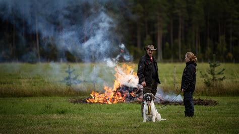 51 kodikasta talvitreffiideaa tänä vuonna